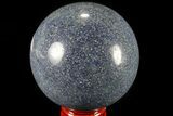 Polished Lazurite Sphere - Madagascar #79054-1